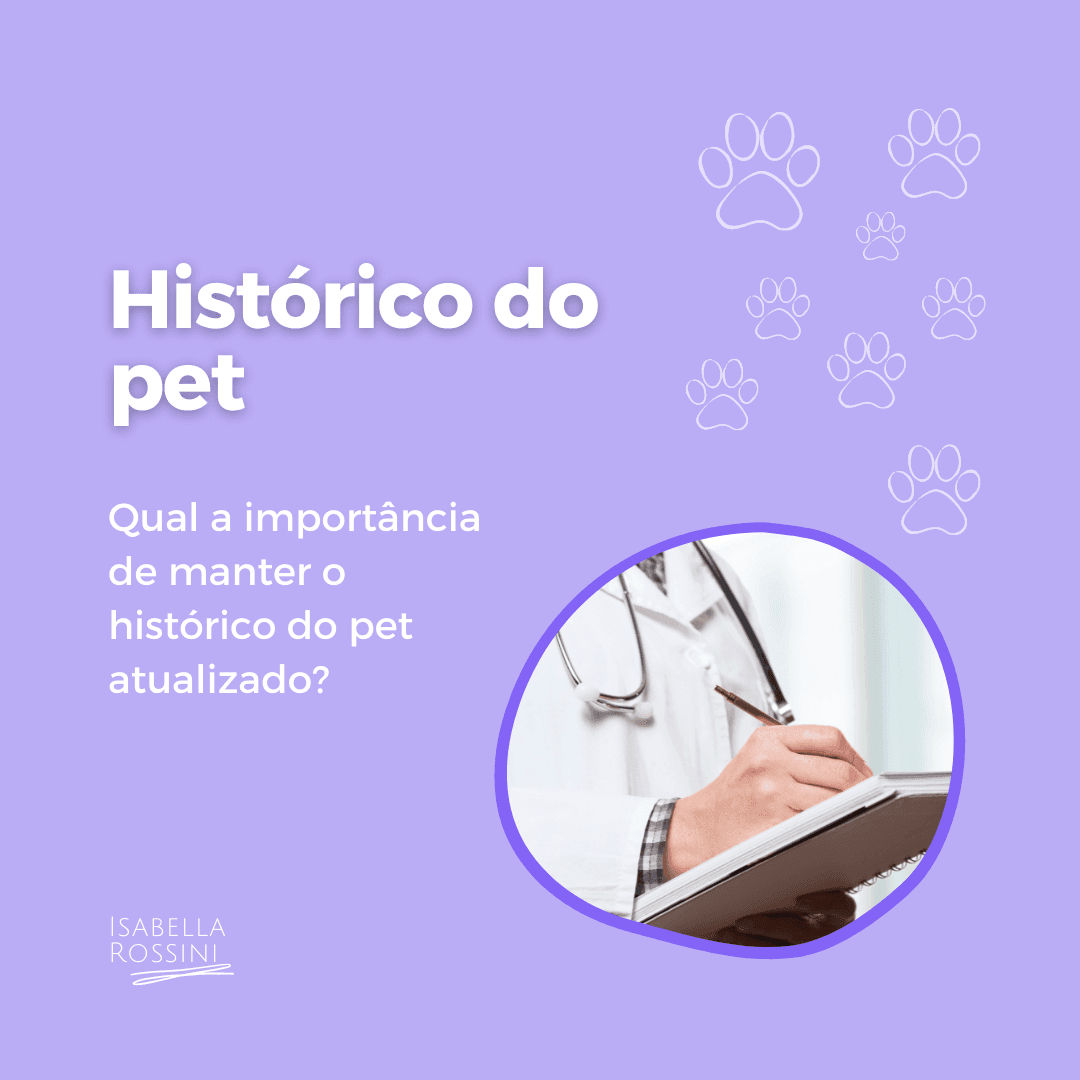 Qual a importância de ter um histórico do pet?