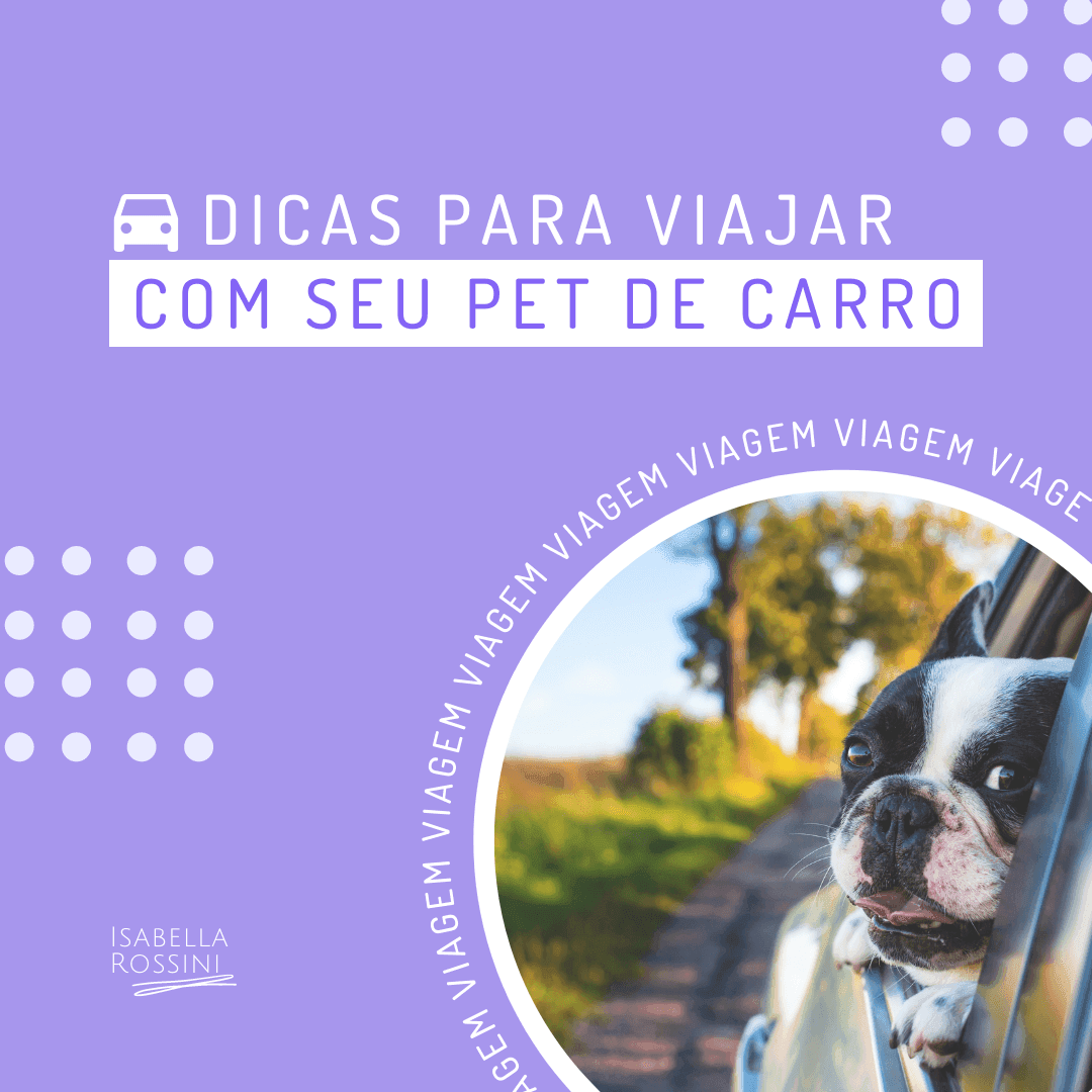 Como viajar com seu pet de carro?