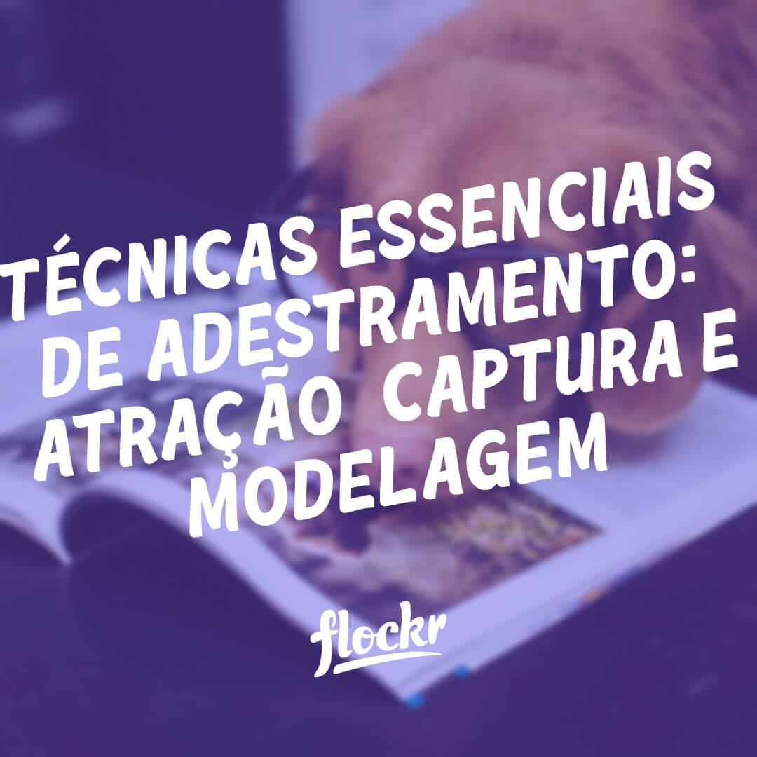 Técnicas essenciais de adestramento de Cães: Atração, Captura e Modelagem