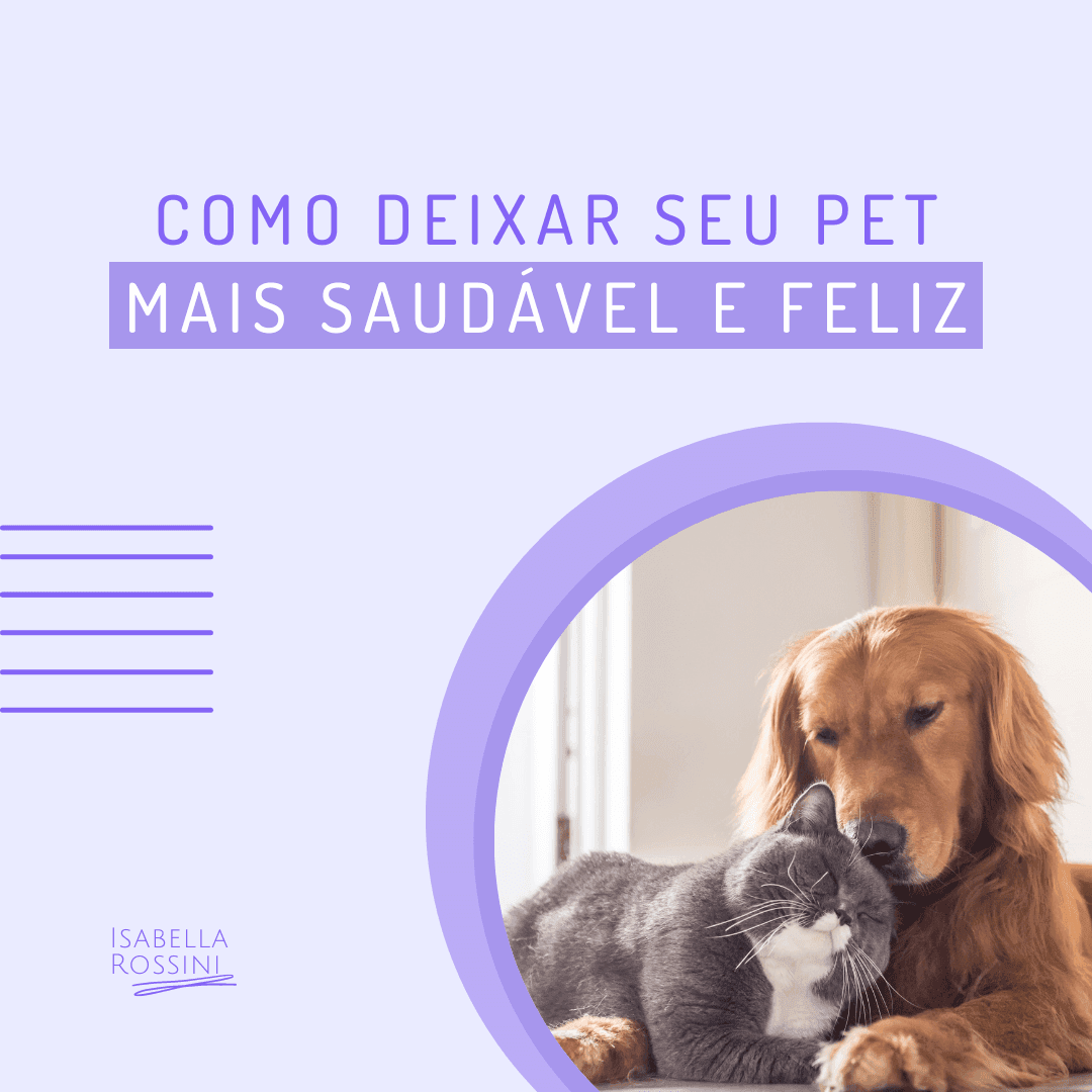 Como deixar seu pet mais saudável e feliz? 