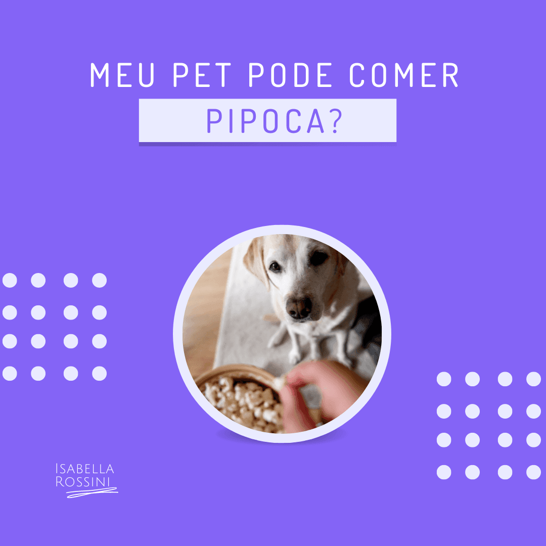 Meu pet pode comer pipoca?