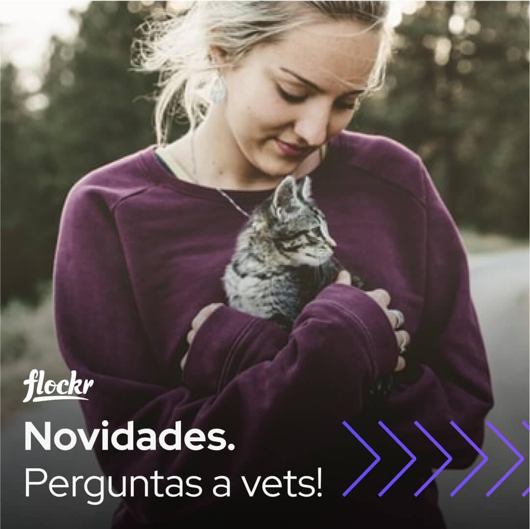 Lançamento: Perguntas a vets