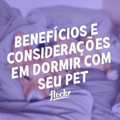 Companhia na Cama: Benefícios e Considerações em dormir com seu pet