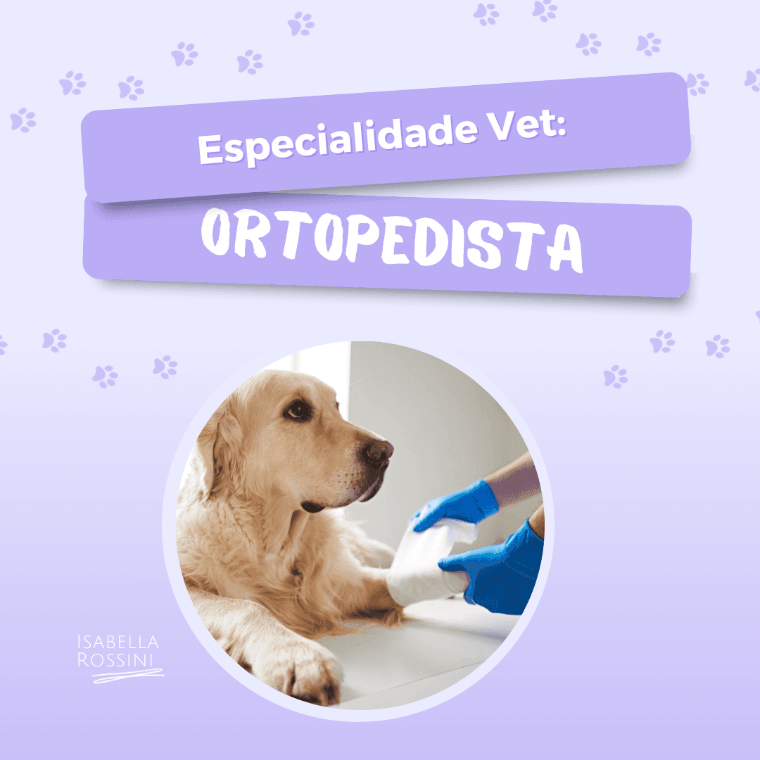 Especialidades: Ortopedista Veterinário