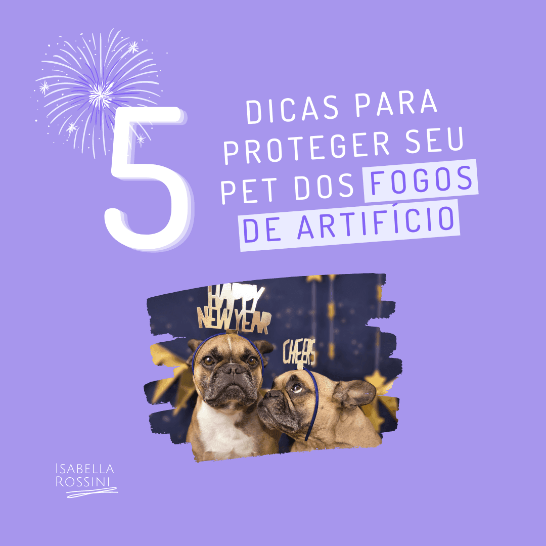 Como se preparar para os fogos de artifício 🐾