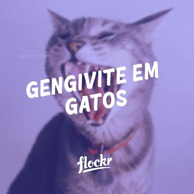 Gengivite em Gatos: Causas, Sintomas e Tratamentos