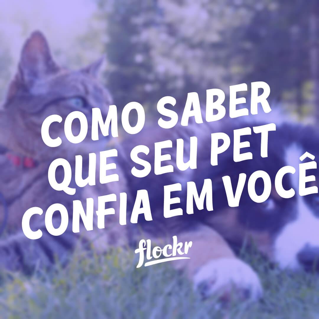 Como Saber que seu Cachorro ou Gato Confia em Você: Sinais de Vínculo e Afeição