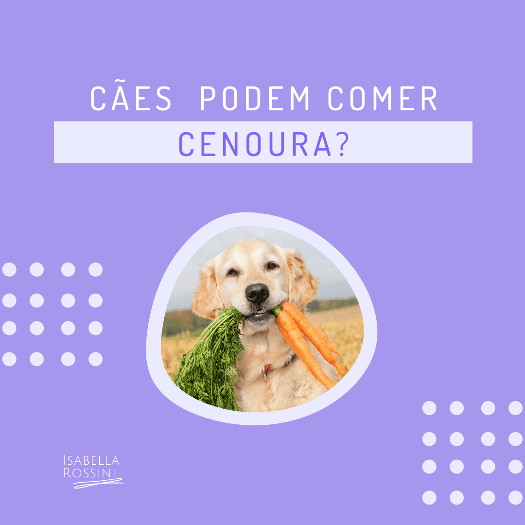 Meu cachorro pode comer cenoura?