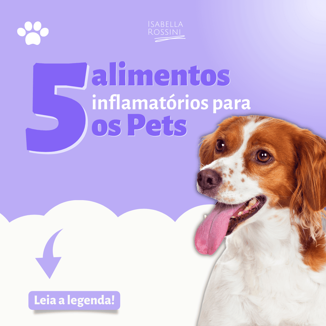 5 alimentos que são inflamatórios para os pets