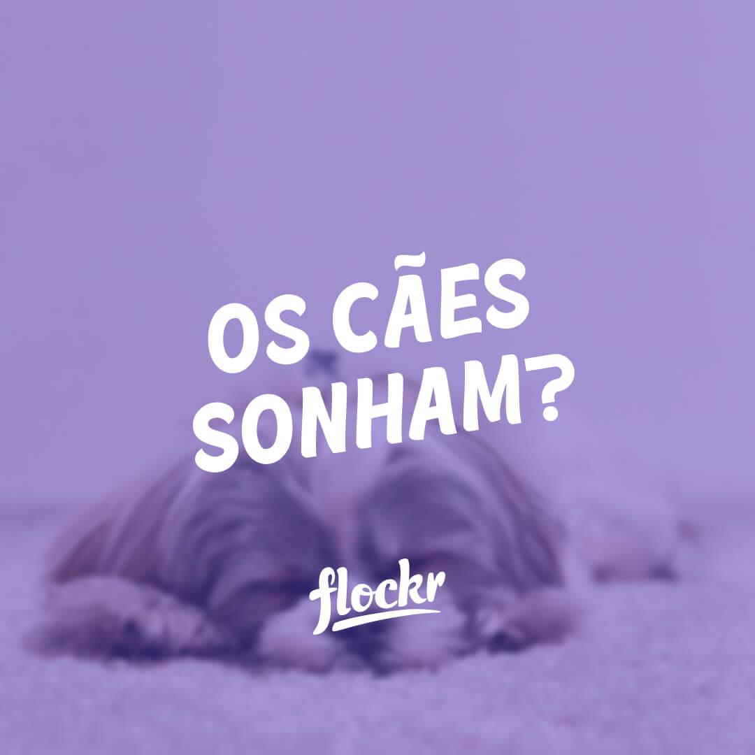 Os Cães Sonham?