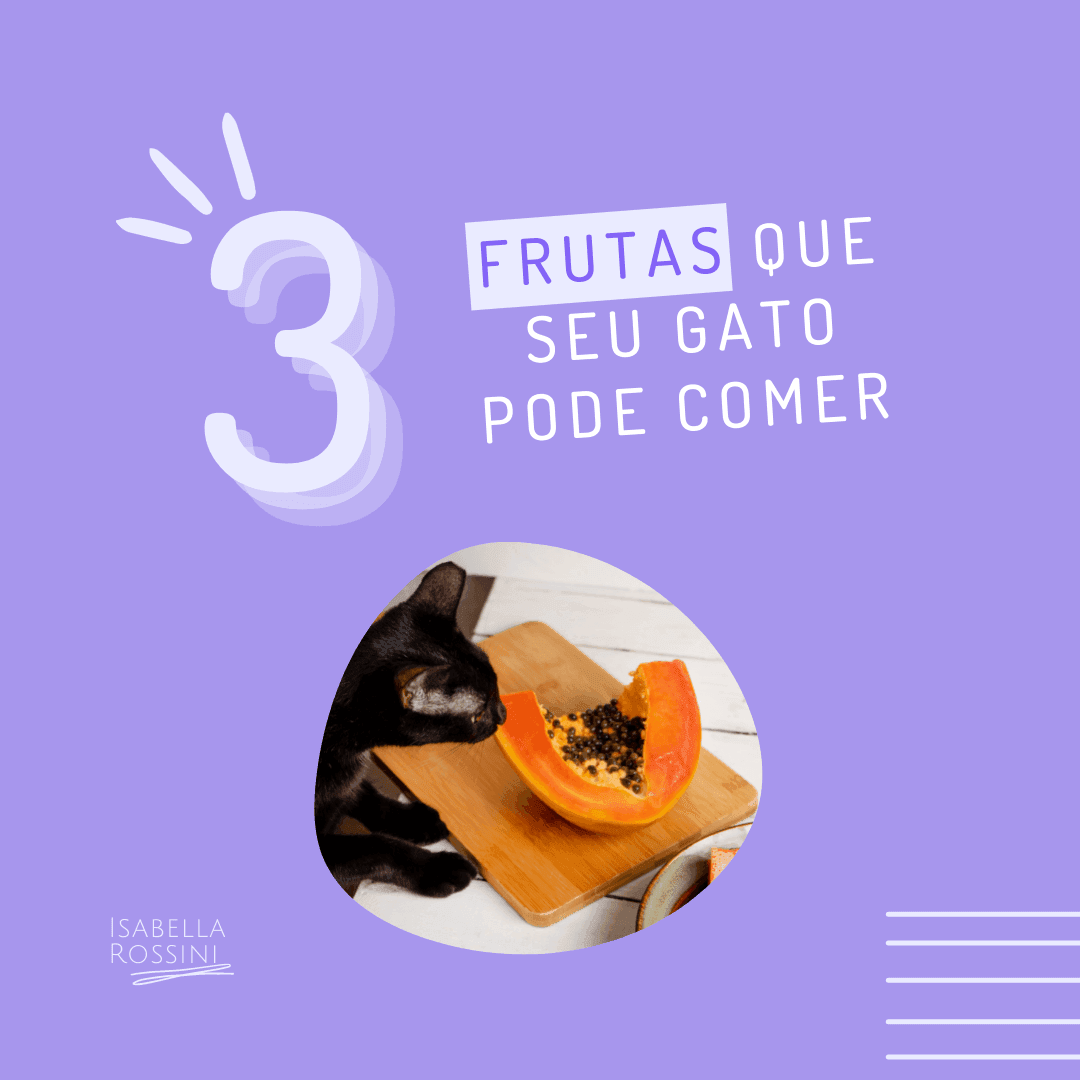 3 frutas que seu gatinho pode comer