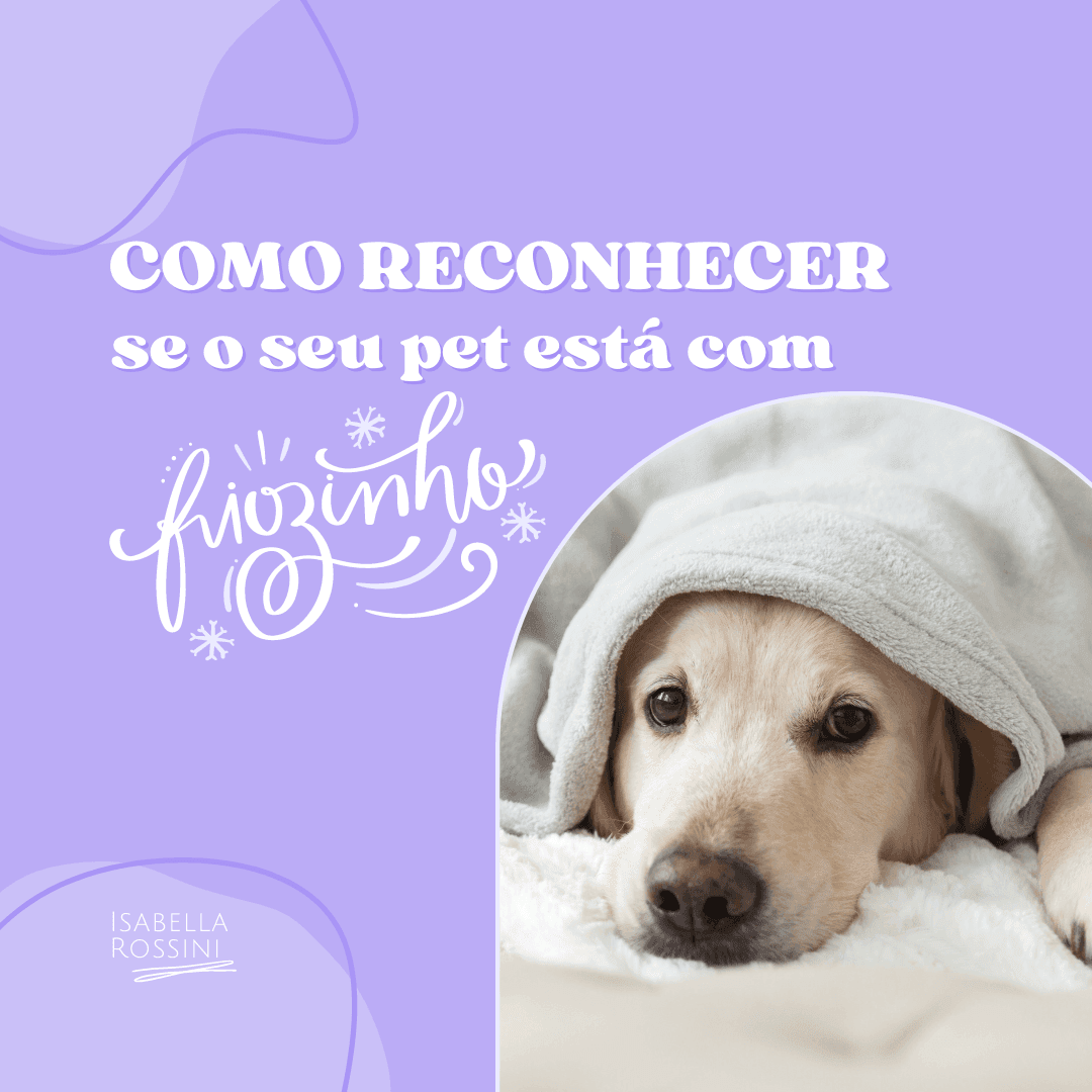 Como reconhecer se o seu pet está com frio?