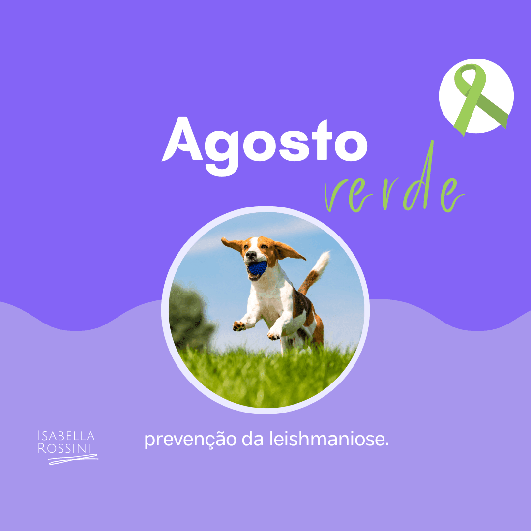 Agosto verde - prevenção da leishmaniose