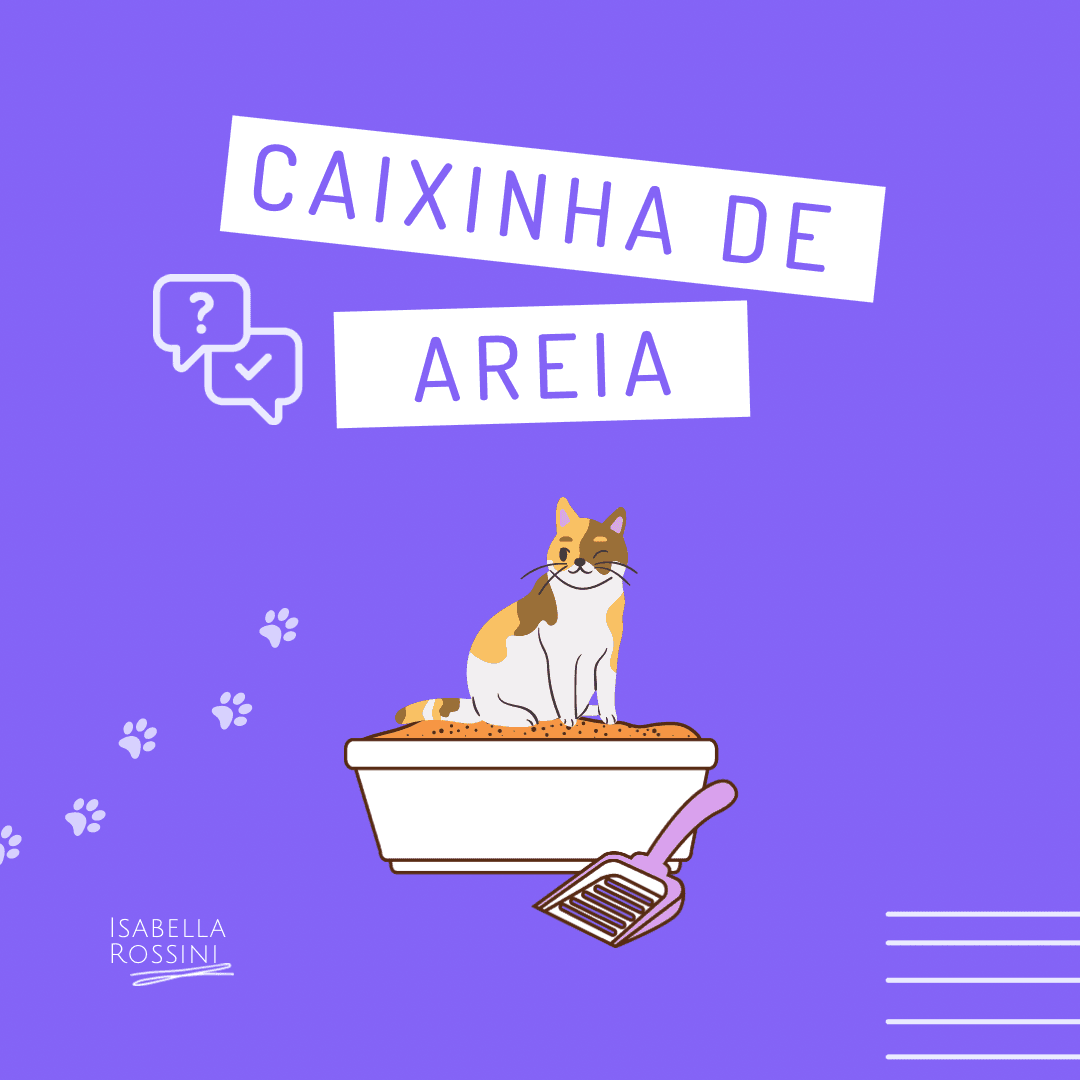 Como ensinar seu gatinho a usar a caixa de areia