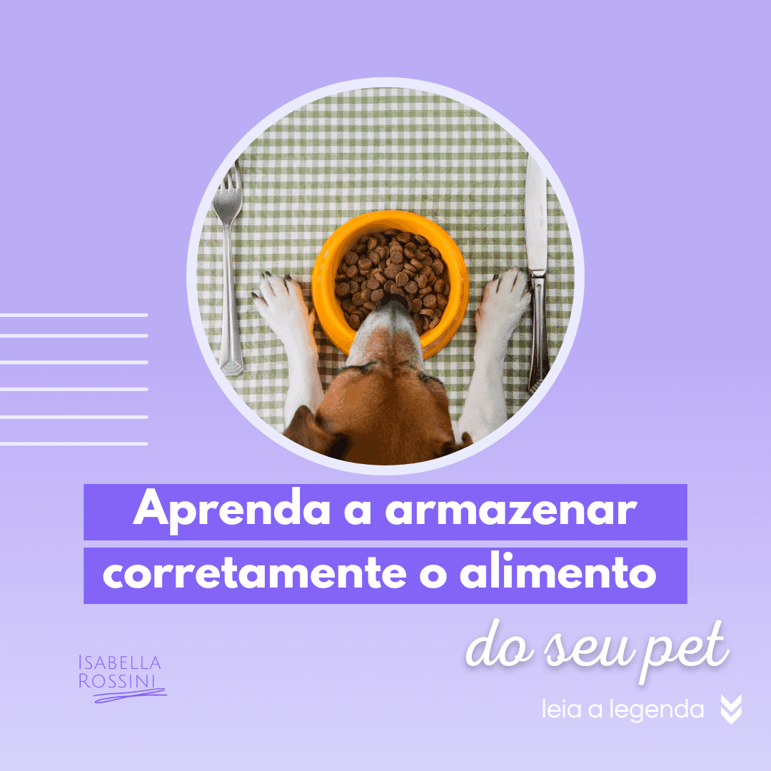 Aprenda a armazenar corretamente o alimento do seu pet