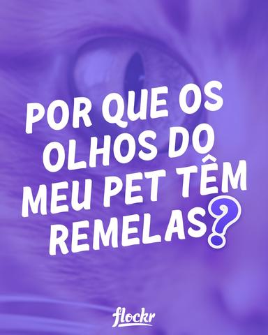 Remelas nos Olhos dos Pets: O Que Você Precisa Saber