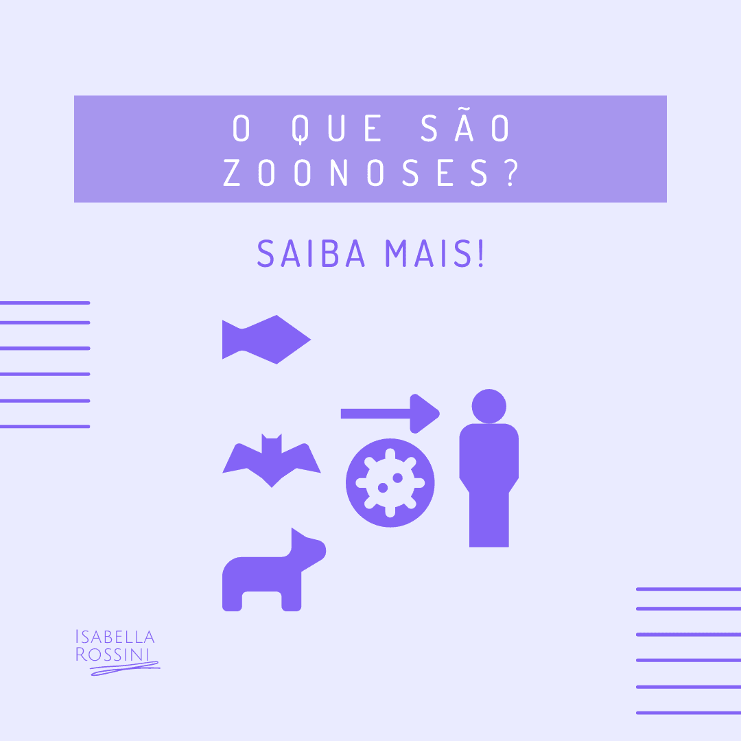 O que são zoonoses? 