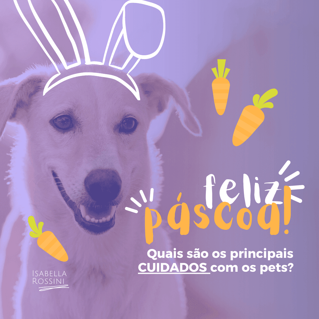 Dicas para aproveitar a Páscoa