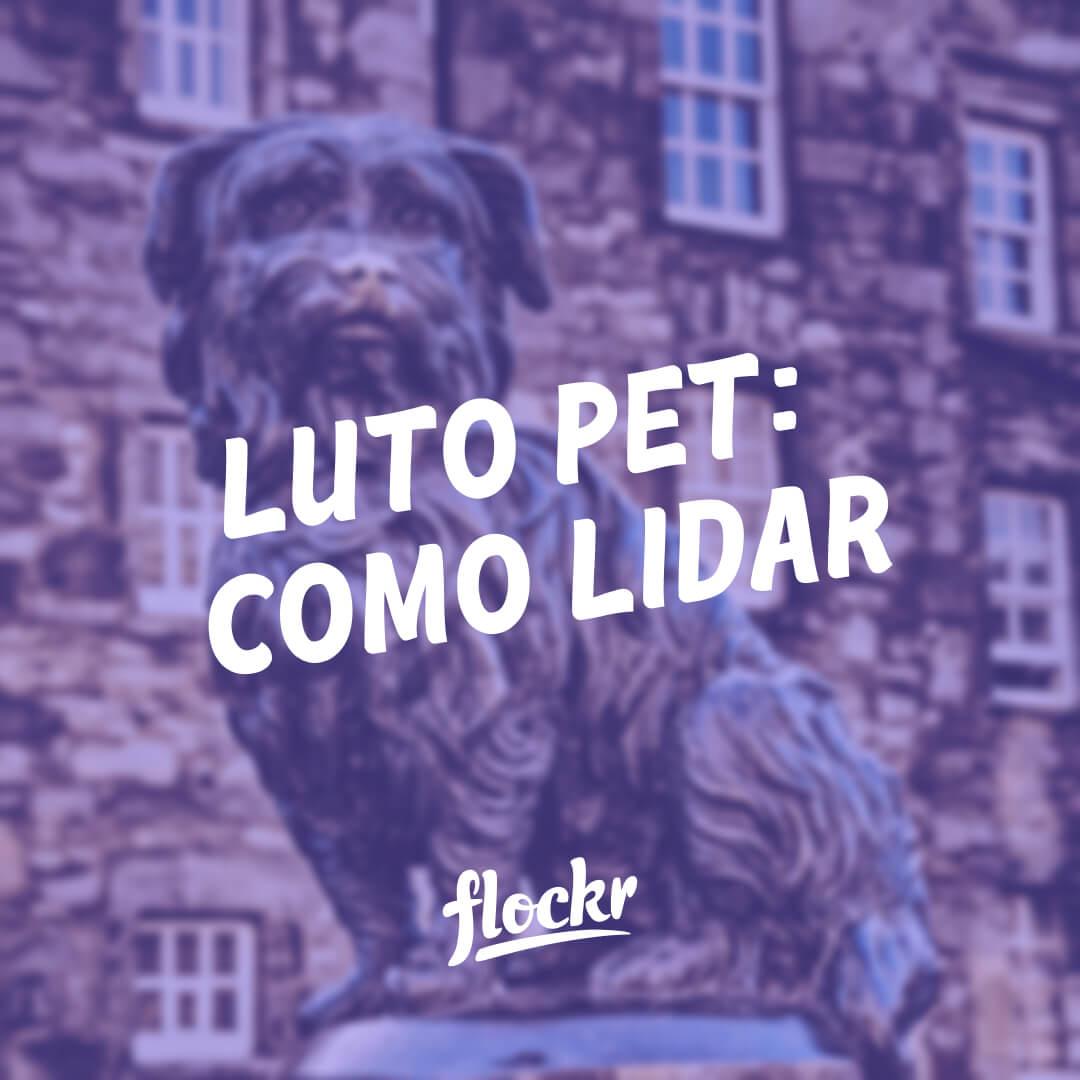 Luto pet: Como lidar com a perda do seu amigo fiel