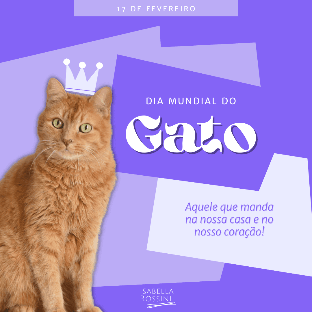 Dia mundial do gato – 17 de fevereiro