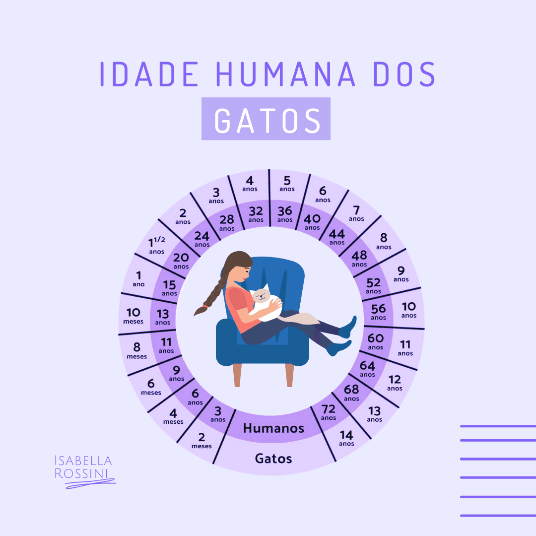 Idade humana dos gatos