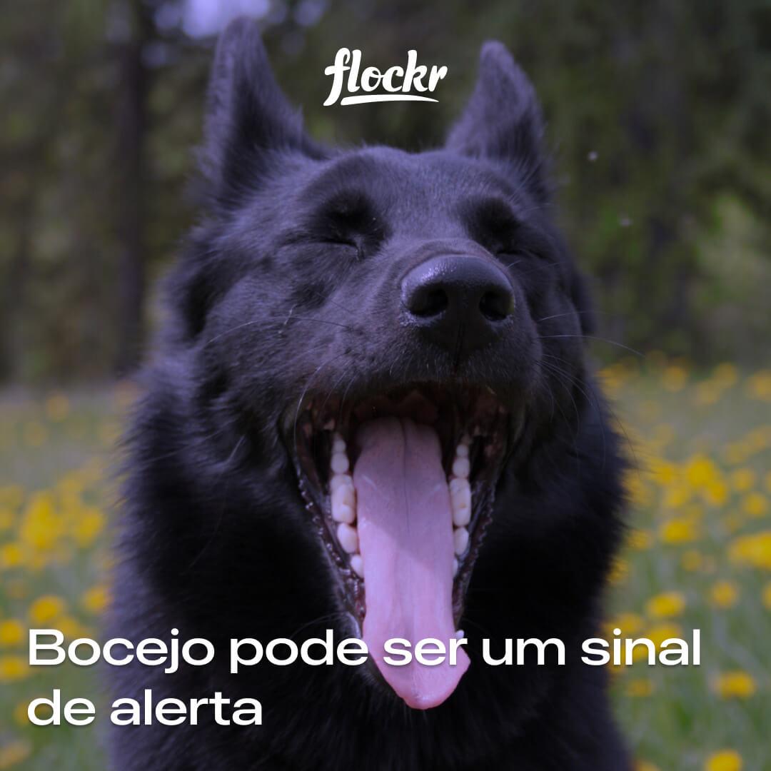 Bocejo pode ser um sinal de alerta