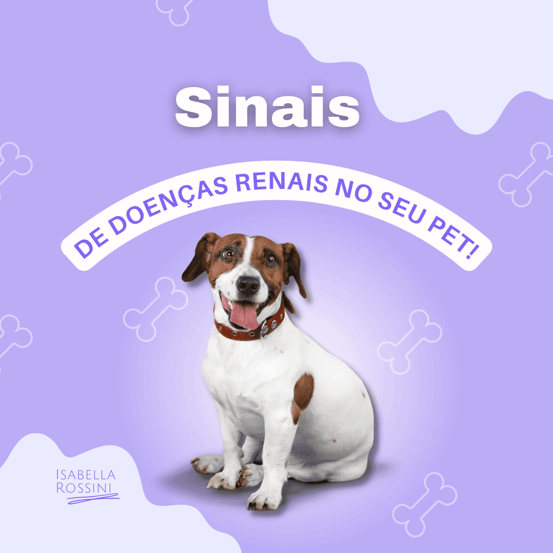 Doenças renais, como identificar?