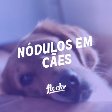 Nódulos em Cães: O que Podem Significar e Quando se Preocupar