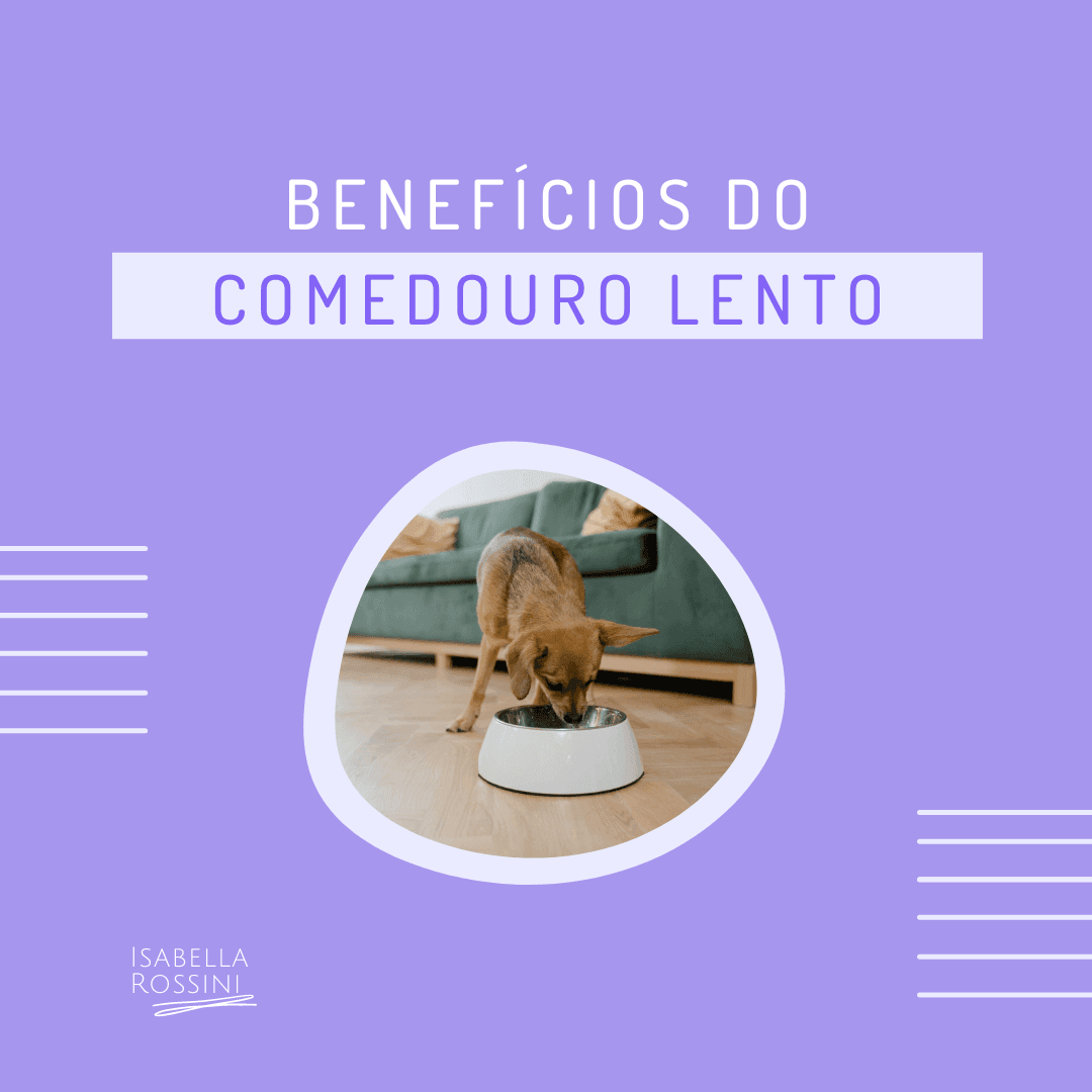 Benefícios do comedouro lento