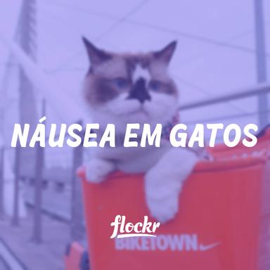 Náusea em Gatos: 9 Sinais e Como Tratar