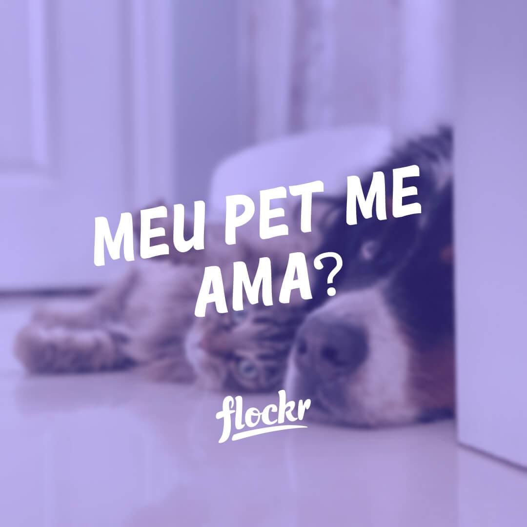 Meu Pet Me Ama? Desvendando os Sinais de Amor dos Seus Amigos Peludos