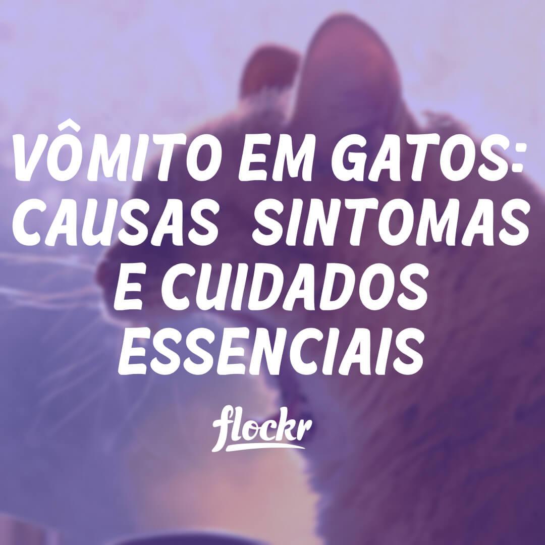 Vômito em Gatos: Causas, Sintomas e Cuidados Essenciais