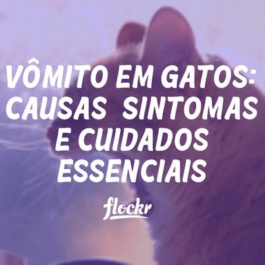 Vômito em Gatos: Causas, Sintomas e Cuidados Essenciais