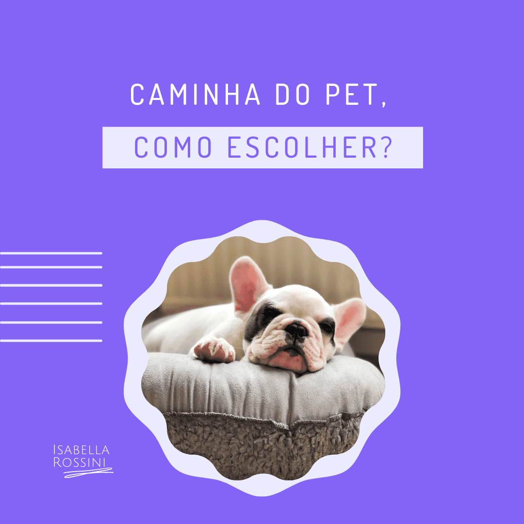 Como escolher a caminha ideal para meu pet?