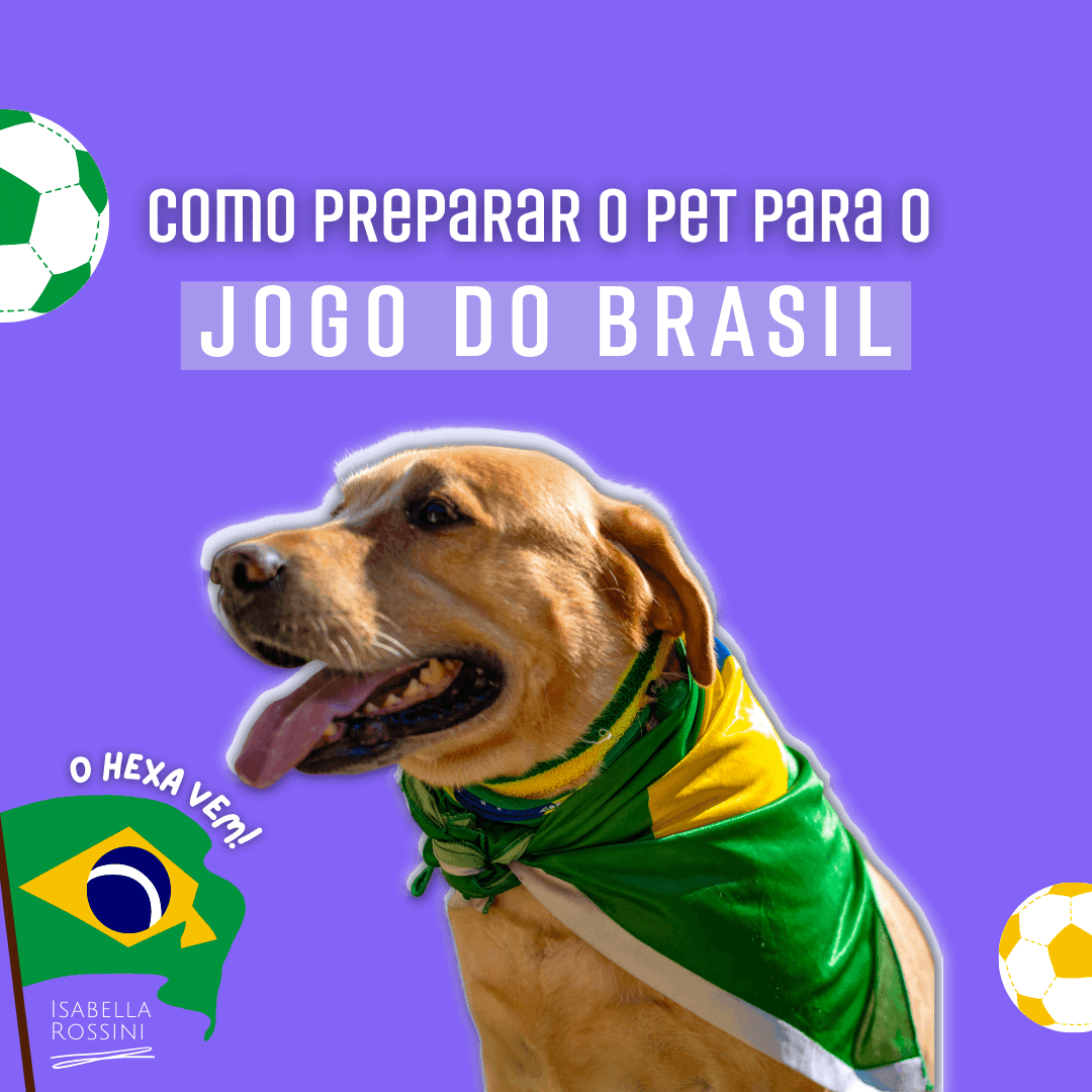 Dicas para o dia da copa com o pet