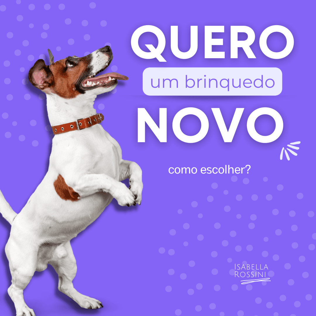 Como escolher o brinquedo ideal?