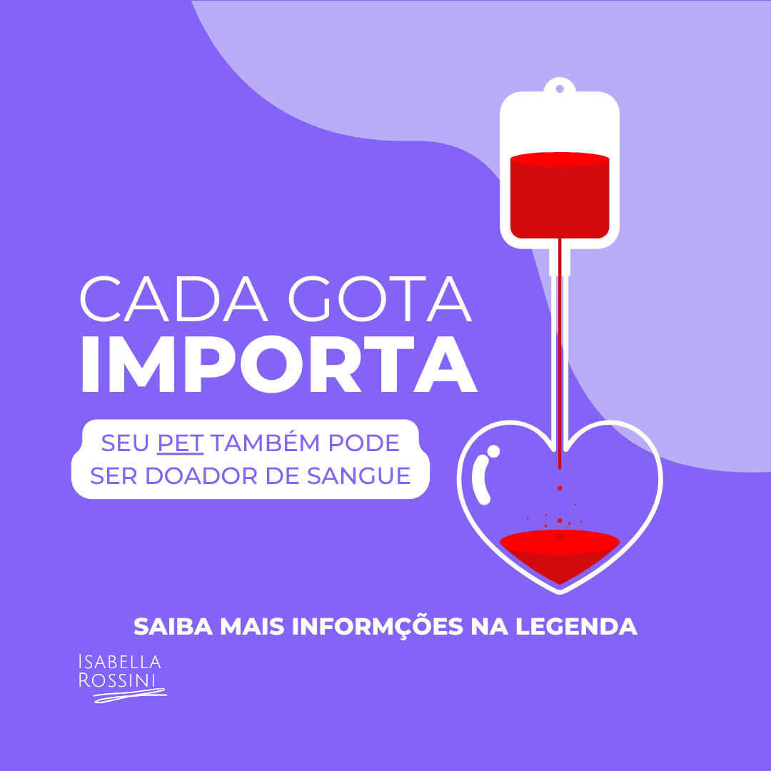 Meu pet pode doar sangue?