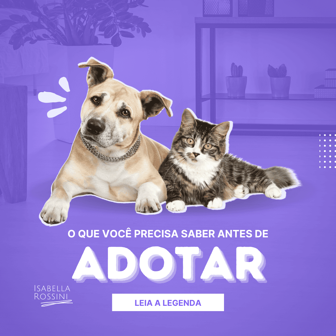 O que você precisa saber antes de adotar?