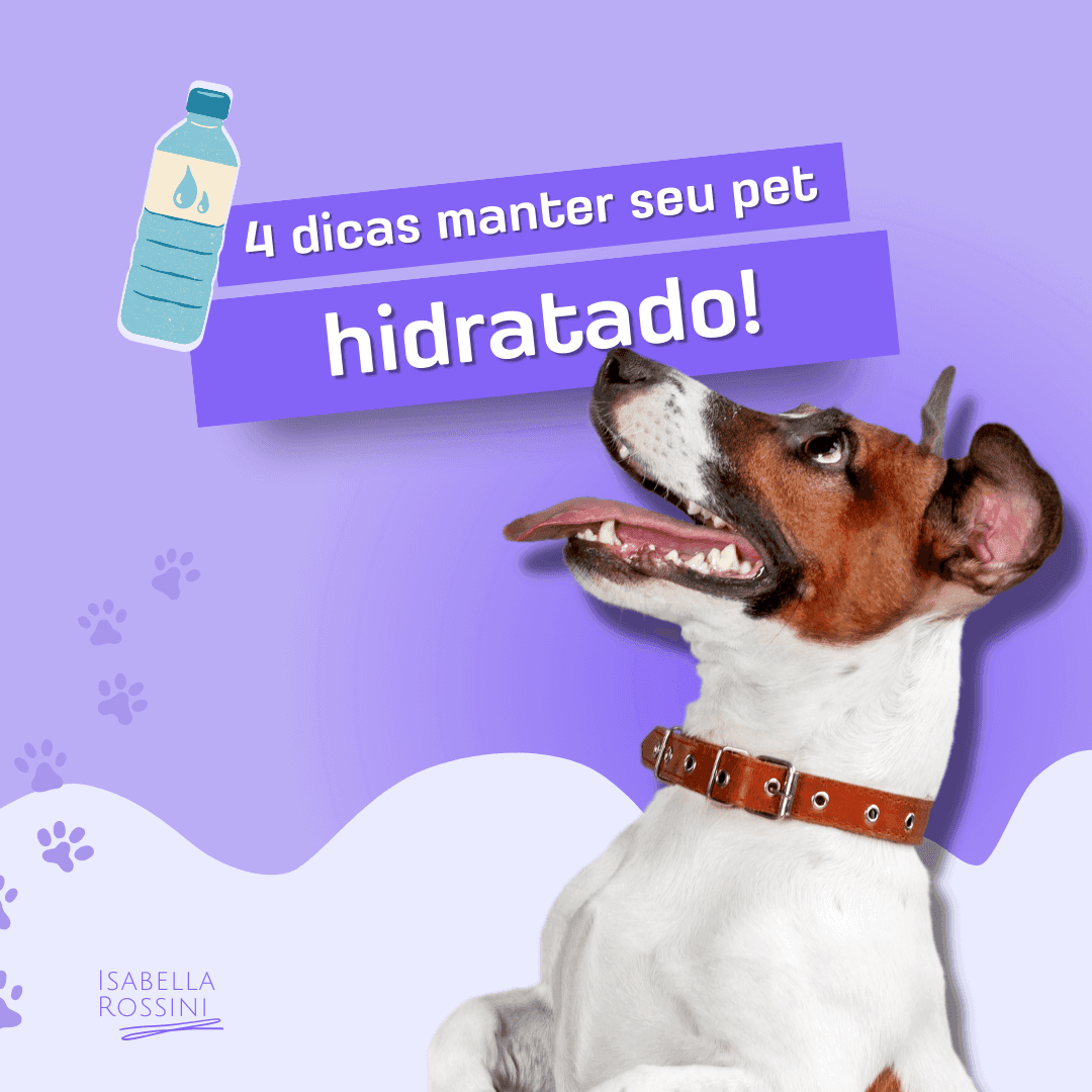 4 dicas para manter seu pet hidratado