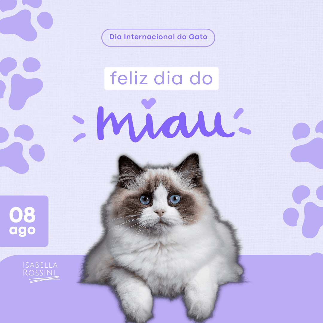 Dia Internacional do Gato 08/08