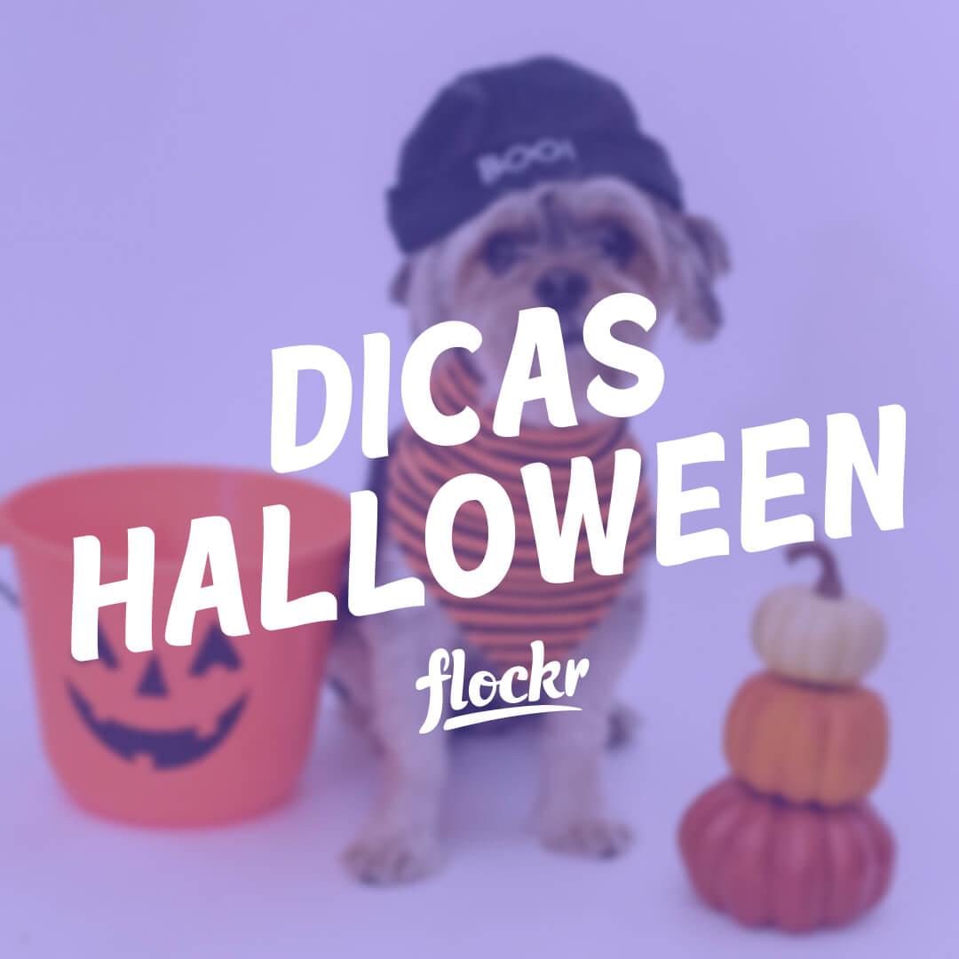 Halloween com Seu Pet: Dicas Divertidas e Cuidados Essenciais