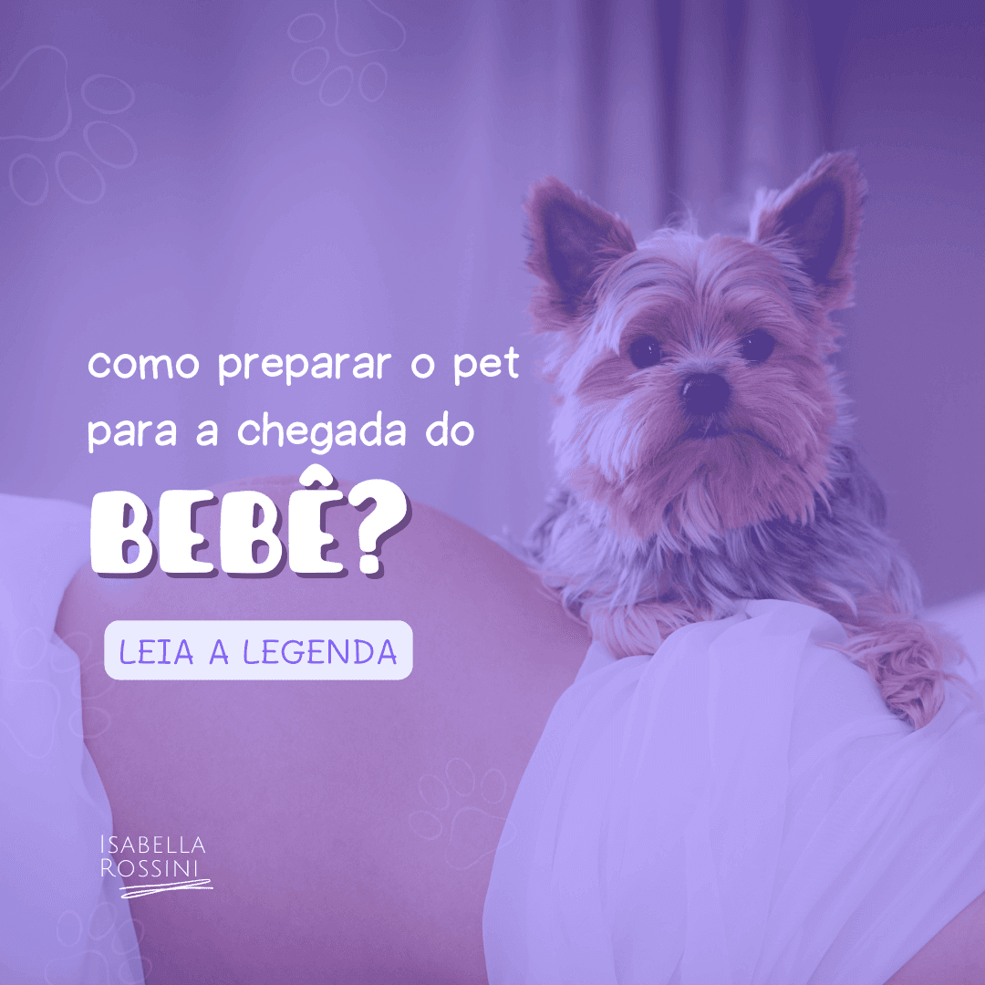 3 dicas para seu pet se adaptar com a chegada do bebê