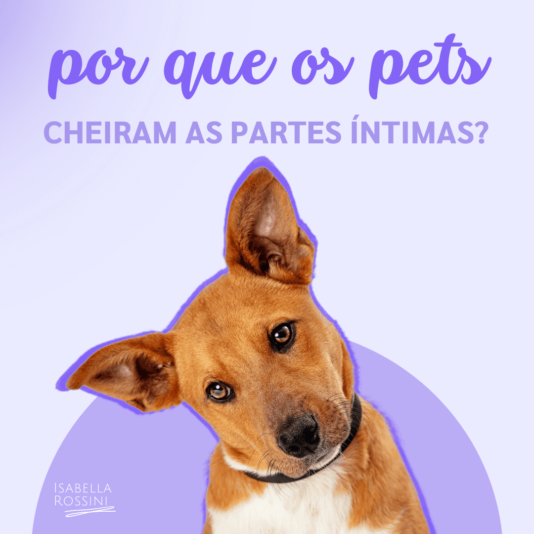 Por que os pets tem costume de cheiras as partes intimas? 