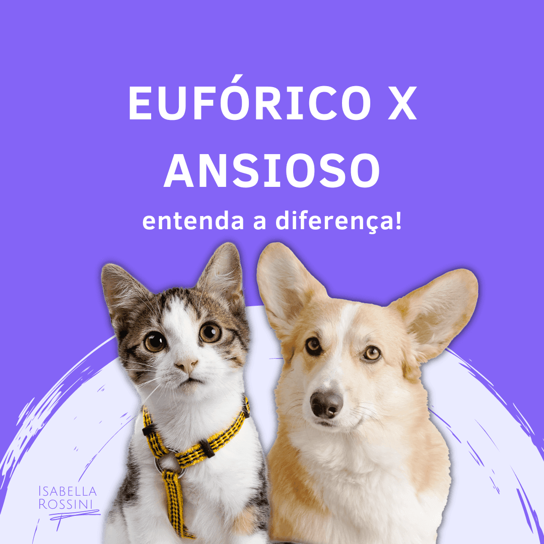 Eufórico X Ansioso, entenda a diferença.