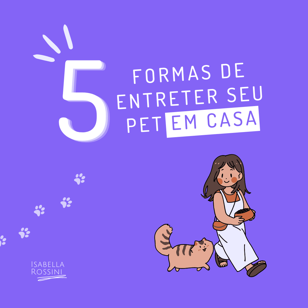 5 formas de entreter seu pet em casa