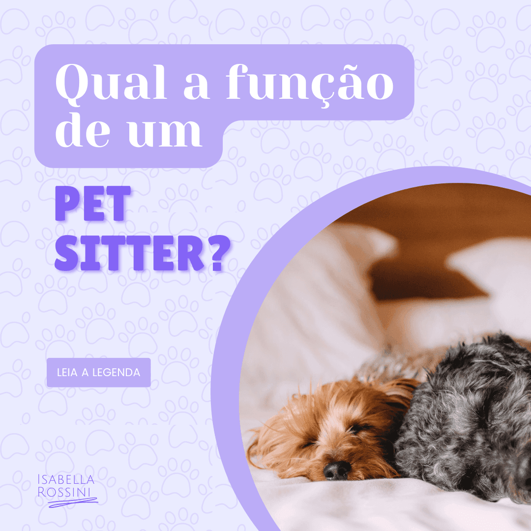 O que faz um pet sitter?