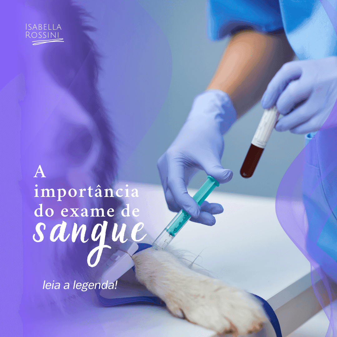 Entenda a importância do exame de sangue