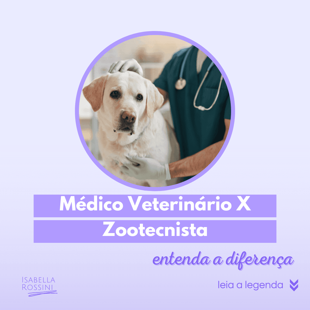 Qual a diferença do médico veterinário para o zootecnista?