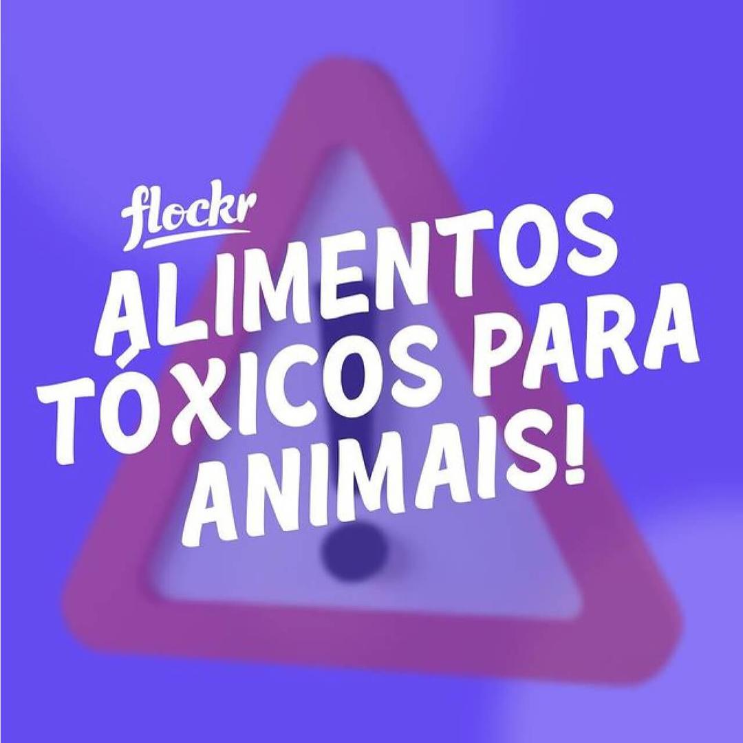 Alimentos tóxicos para animais