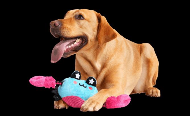Ilustração de um cachorro com o brinquedo.